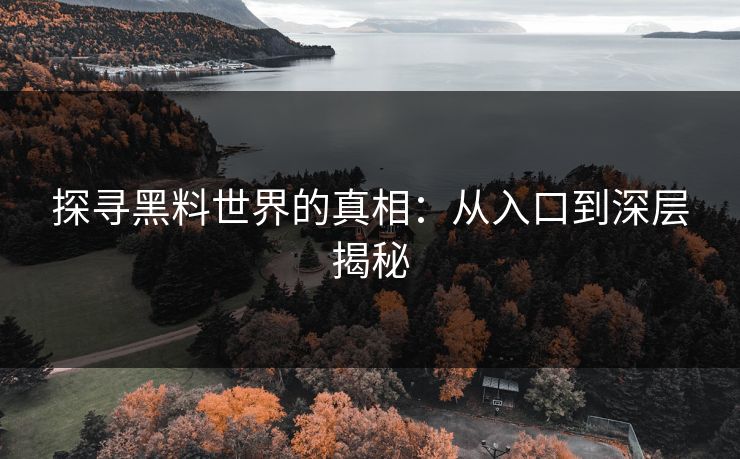 探寻黑料世界的真相：从入口到深层揭秘