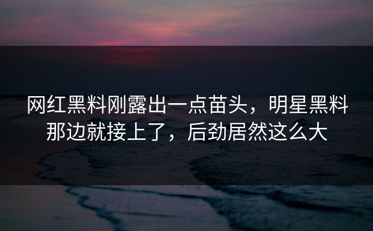 网红黑料刚露出一点苗头，明星黑料那边就接上了，后劲居然这么大
