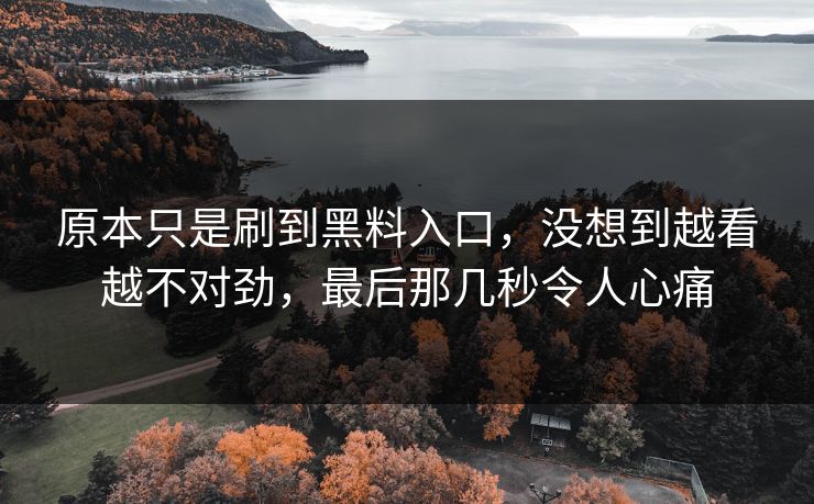 原本只是刷到黑料入口，没想到越看越不对劲，最后那几秒令人心痛